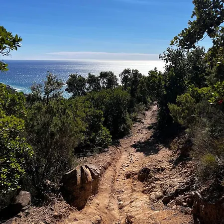 Traum Mit Meerblick *