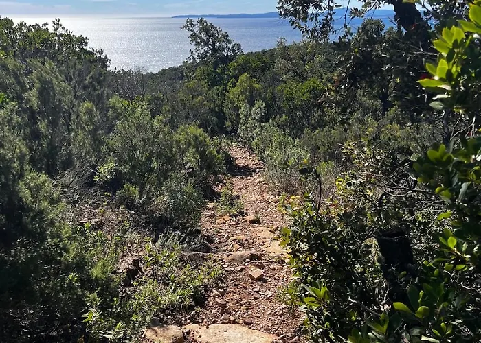 Traum Mit Meerblick Saint-Raphael (Var)